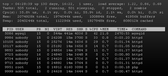 Top command during Digg effect.