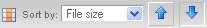 sort by file size
