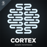 cortex